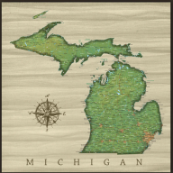 Michigan, MI